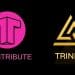 Trinity-Contribute Partnership