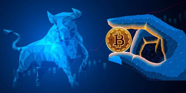 Bitcoin Bull Run
