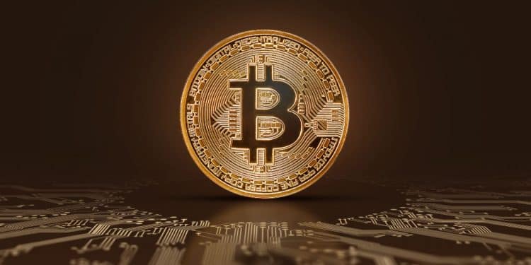 Bitcoin Fog Held Against Criminal Offences