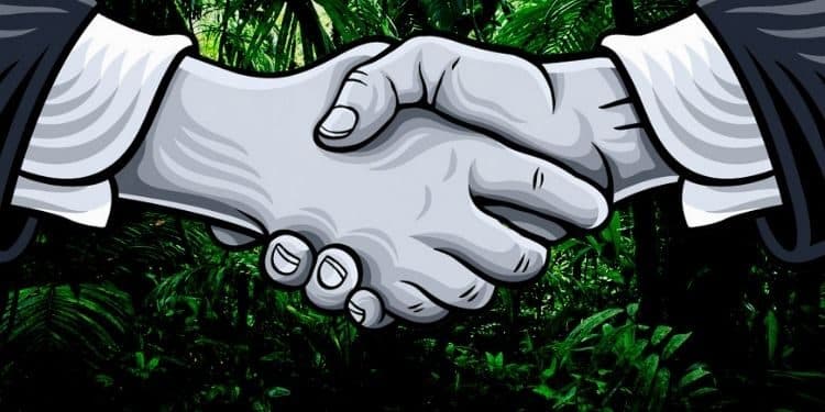 Trustswap Finds a New Partner in Block Ape Scissors