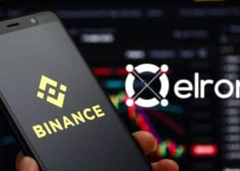 Binance Has Joined Elrond as Staking Provider