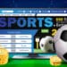 How to Choose the Right Bitcoin Sports Betting Site?