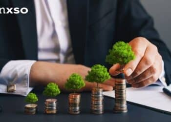 Why Is Banxso Trading Platform Ideal for Amateurs?