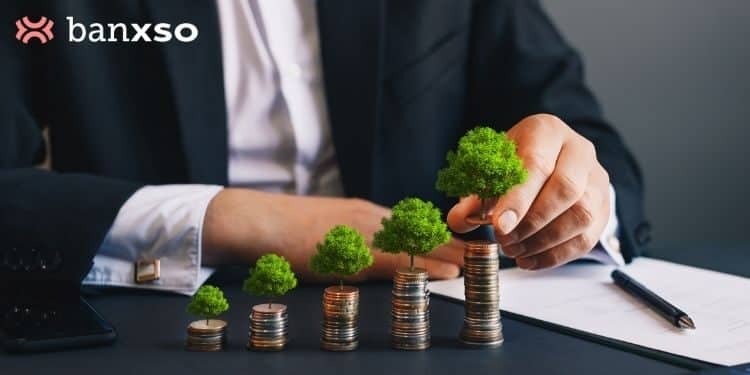 Why Is Banxso Trading Platform Ideal for Amateurs?