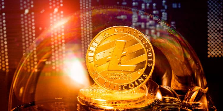 Litecoin What Are the Major Risk of Investing in LTC